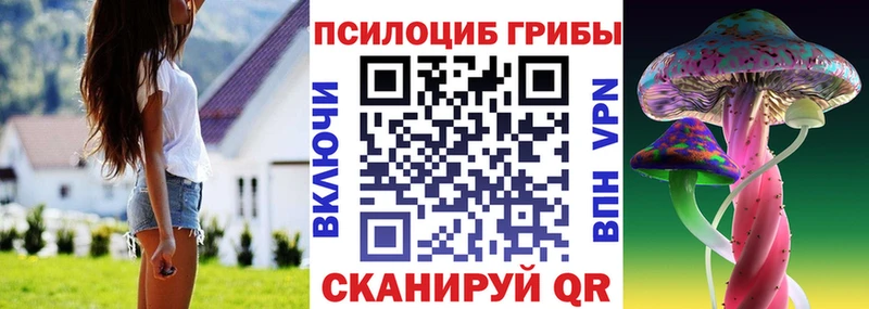 Купить закладки  Красавино  Псилоцибиновые грибы Cubensis 